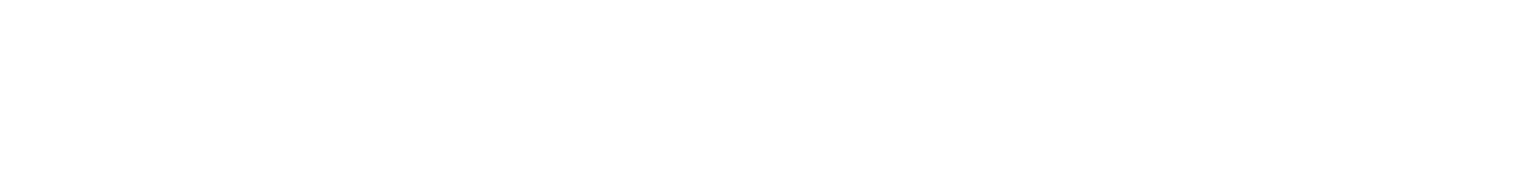 Synergy Conveyor Systems